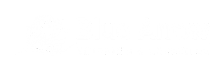 Blue Arrow Shipping & Logistics