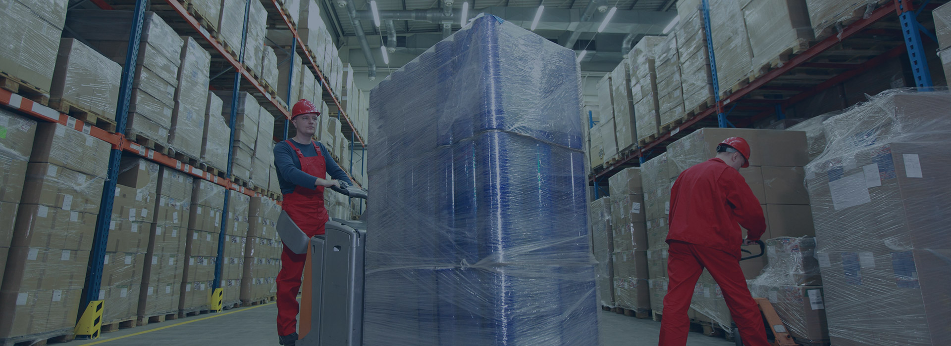 Regional Distribution Centre